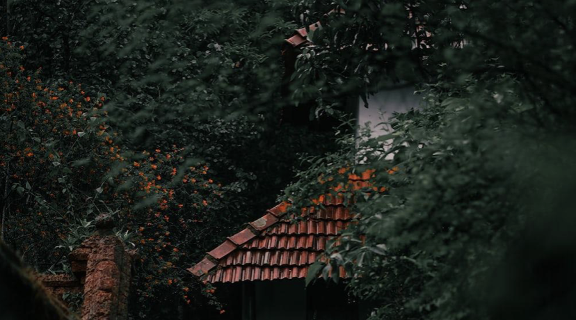 Sustainable Homes That Breathe Moderate Temperatures in all Seasons.